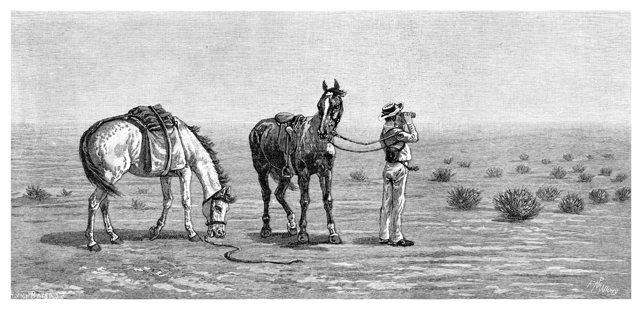 Nada a la vista, 1886 de Frank P. Mahony
