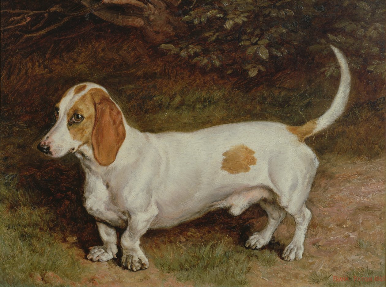 Mi Teckel Favorito, 1885 de Frank Paton