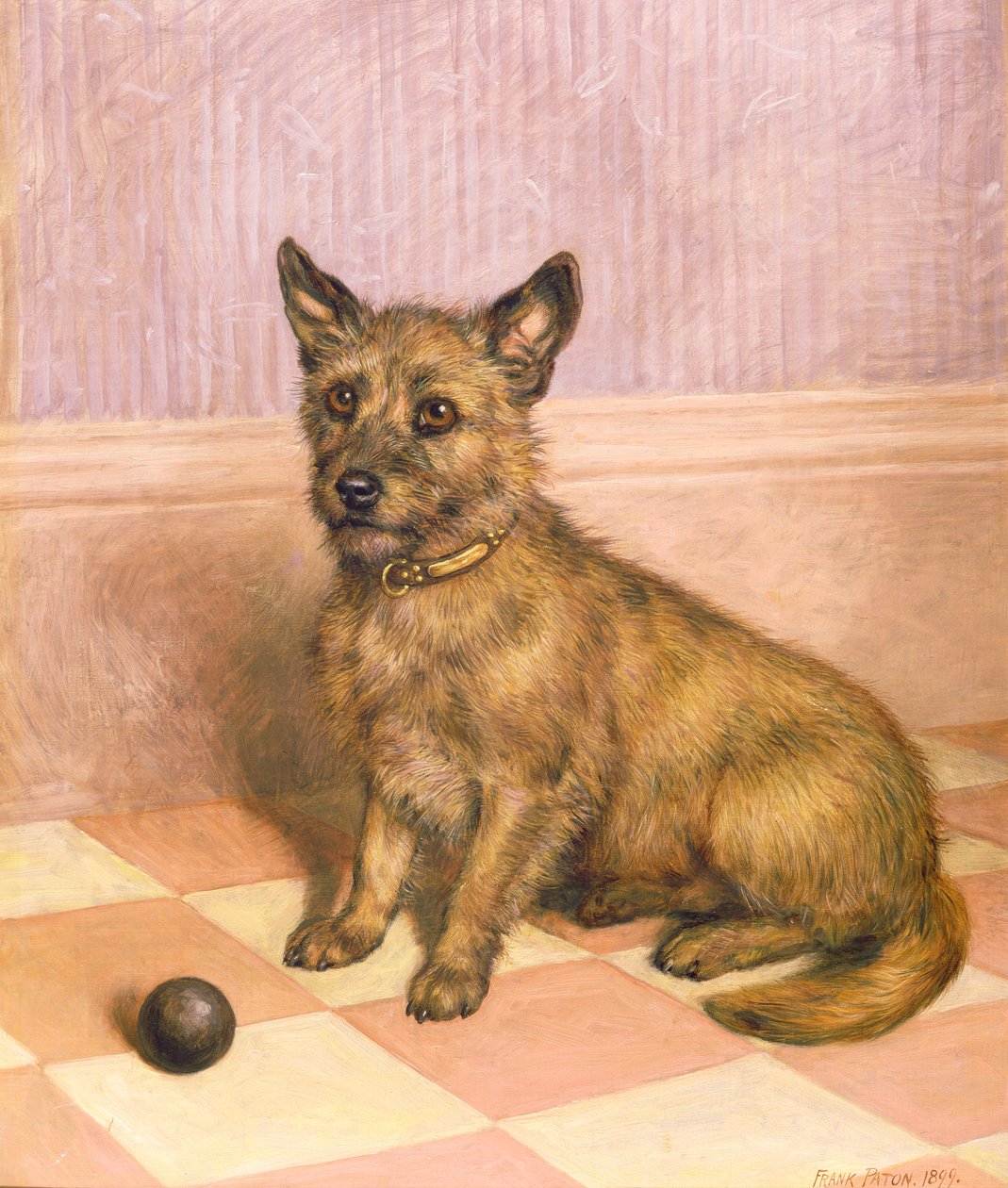 Esperando para jugar, un Cairn terrier con una pelota de Frank Paton