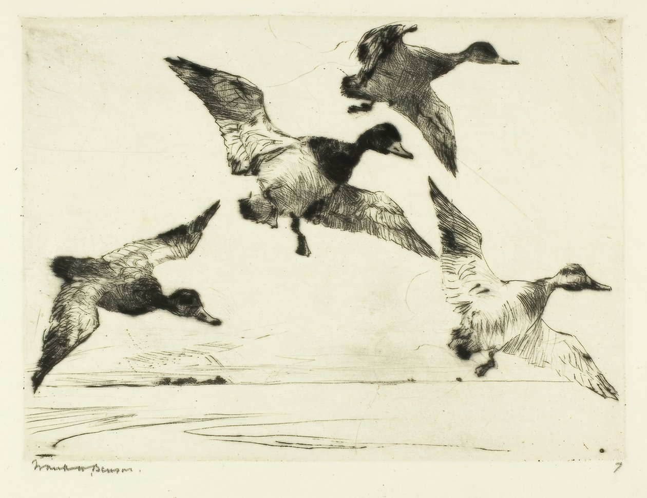 Porrón moñudo de Frank Weston Benson
