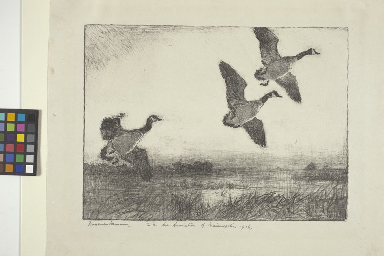 Tres gansos (tinta sobre papel) de Frank Weston Benson