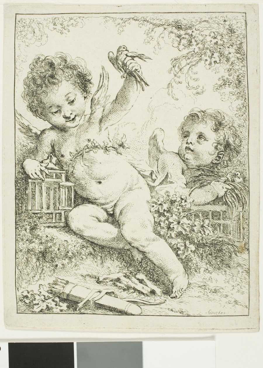 Dos Putti con un pájaro de François Boucher