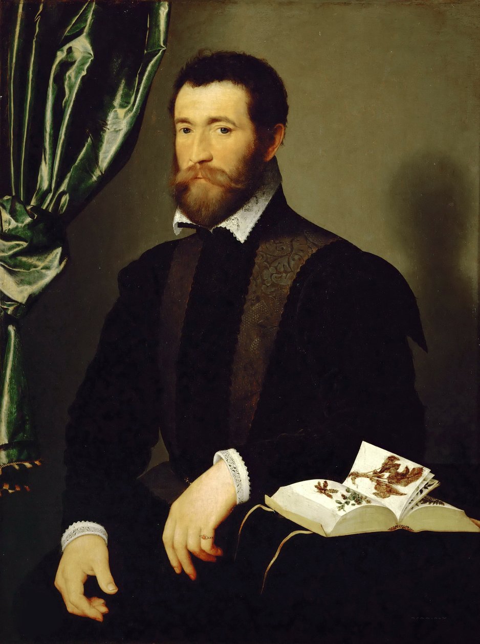 Retrato de Pierre Quthe, boticario, 1562 de François Clouet
