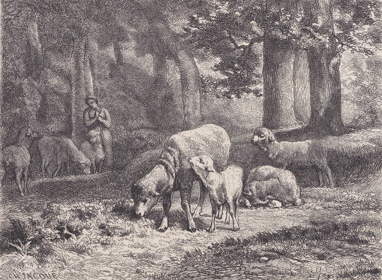 Las Ovejas, del Magasin Pittoresque, 1862 de François Rouget