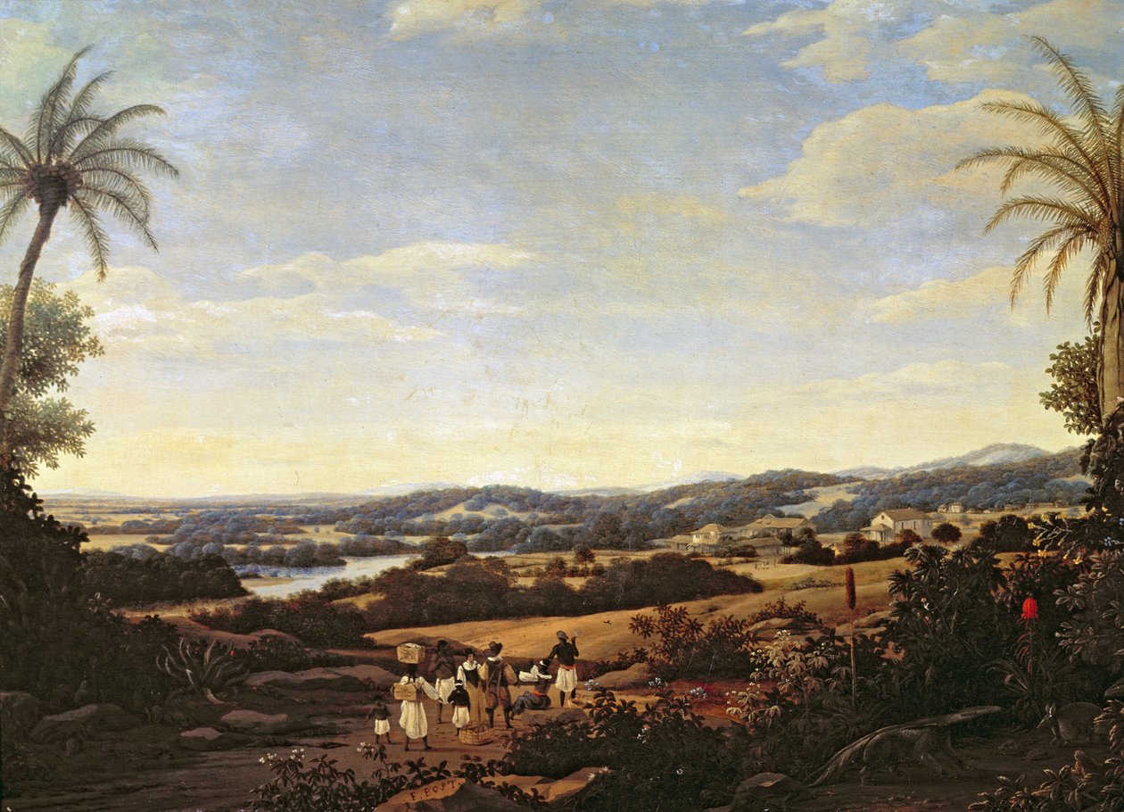 Paisaje brasileño con una plantación de Frans Post
