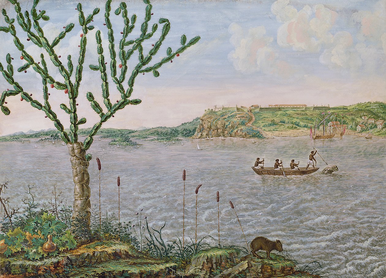 Vista del Fuerte Maurice en el Río San Francisco de Frans Post