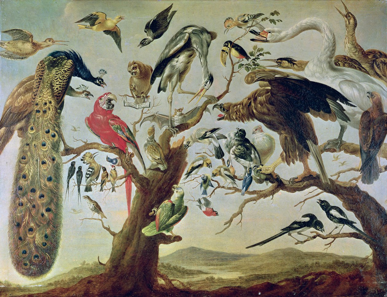 El concierto de los pájaros de Frans Snyders or Snijders