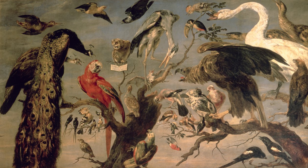 El concierto de los pájaros de Frans Snyders or Snijders