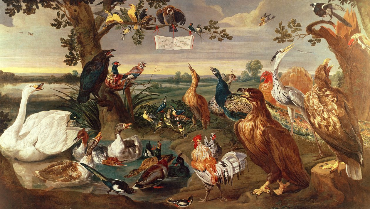 Aves varias de Frans Snyders or Snijders