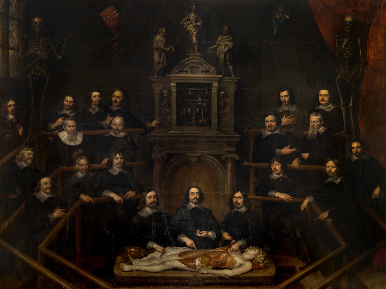 La lección de anatomía del doctor Joannes van Buyten en la sala del cirujano de Amberes de Frans Denys