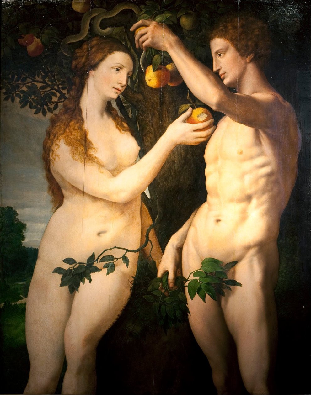 La caída del hombre de Frans Floris I