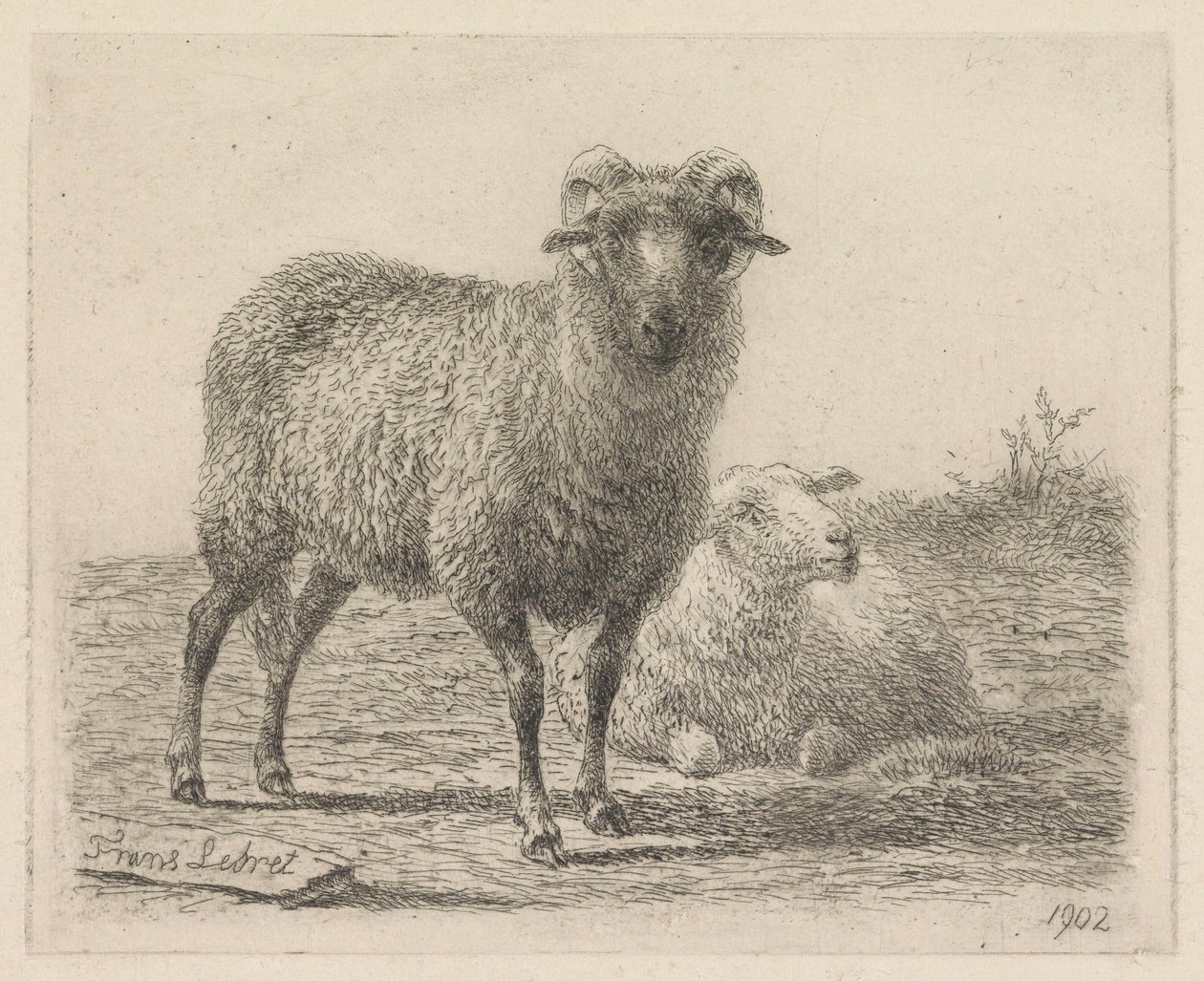 Carnero y oveja de Frans Lebret