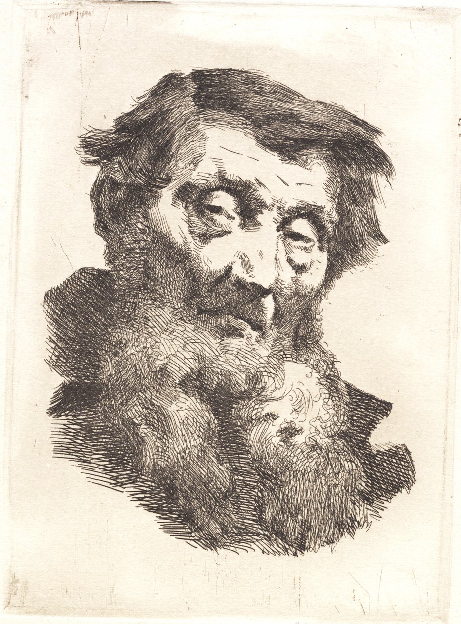 Viejo con barba gris dividida de Frans Schwartz