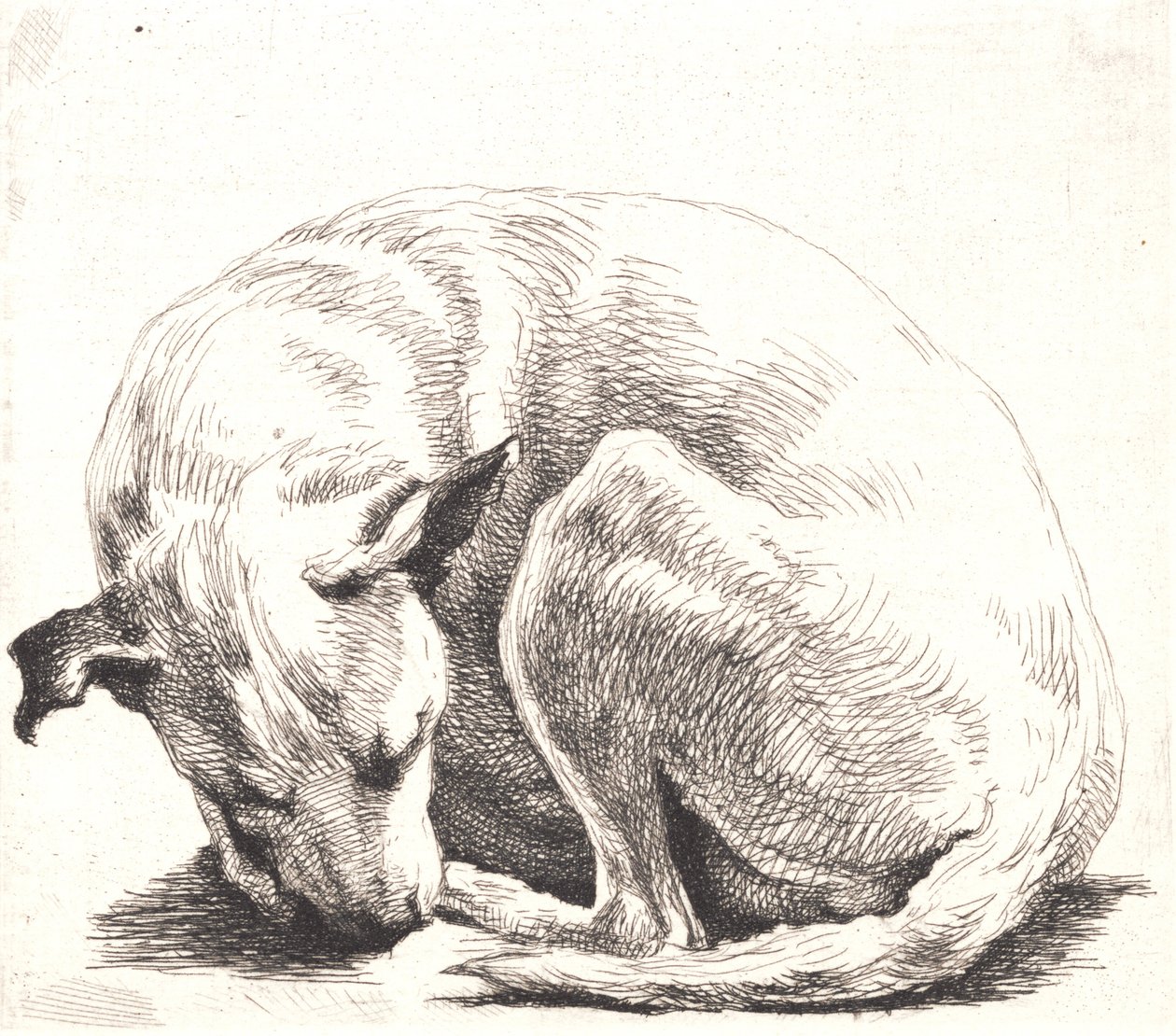 Placa de prueba: Un perro de Frans Schwartz