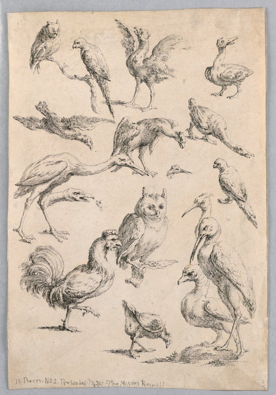 Surtido de aves, del "Recueil de differentes études d