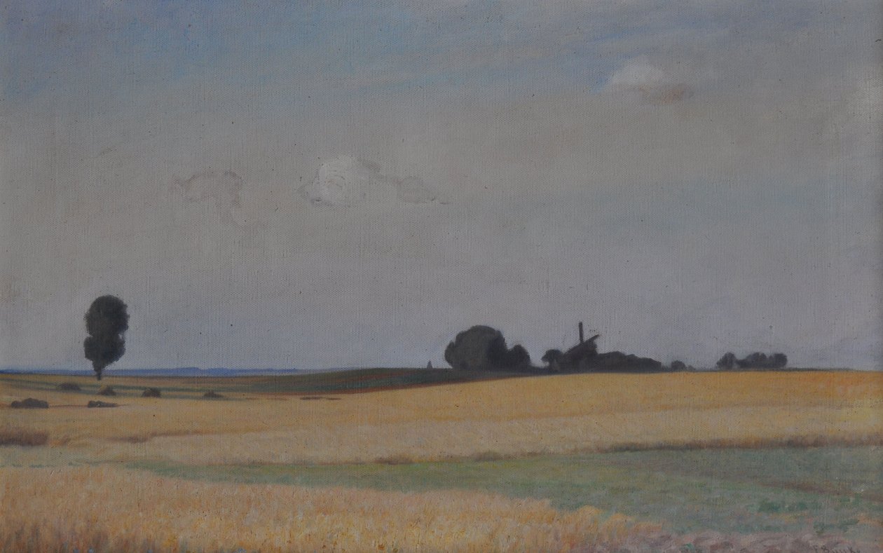 Paisaje de Mecklemburgo con molino de viento de Franz Bunke