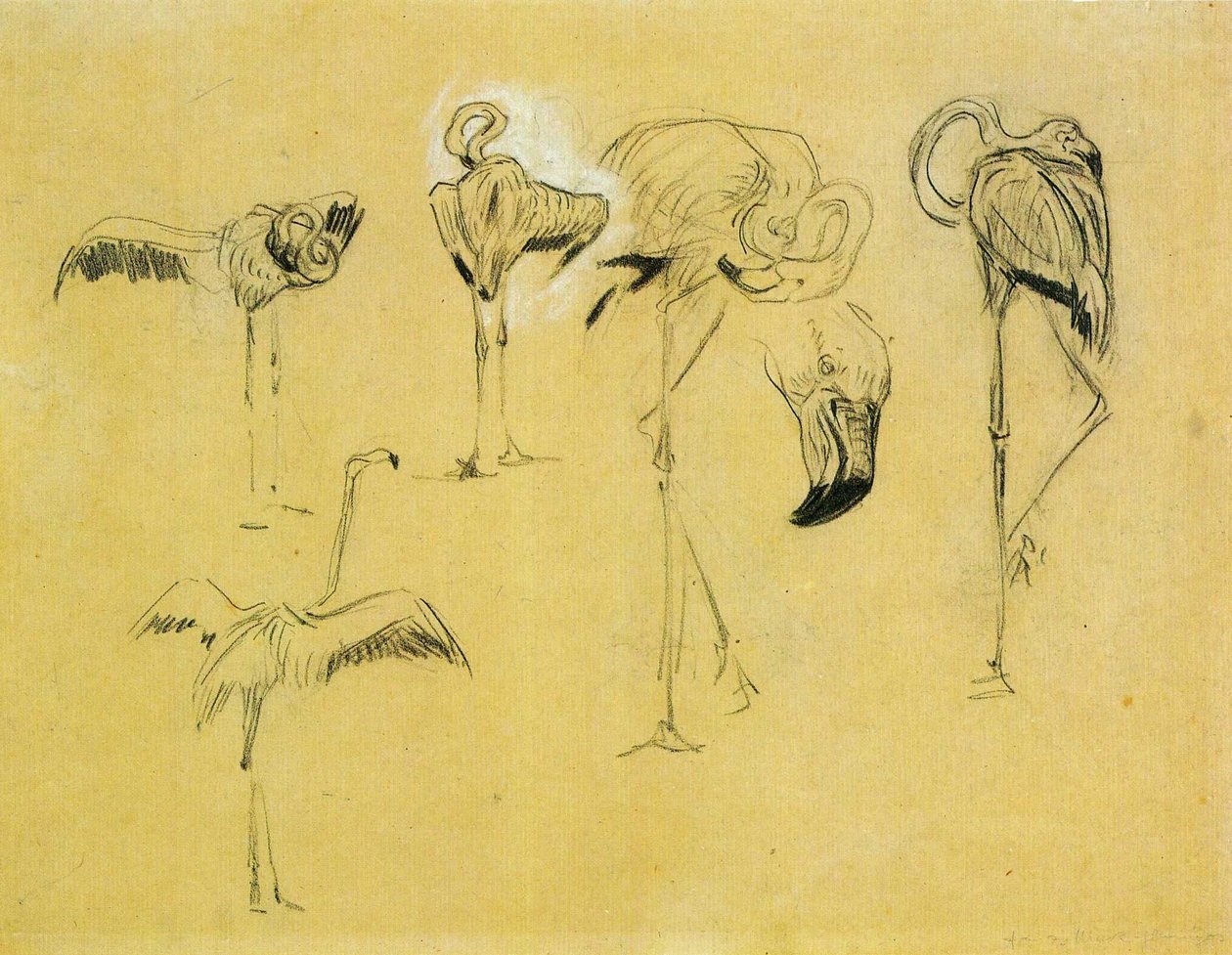 Flamencos de Franz Marc