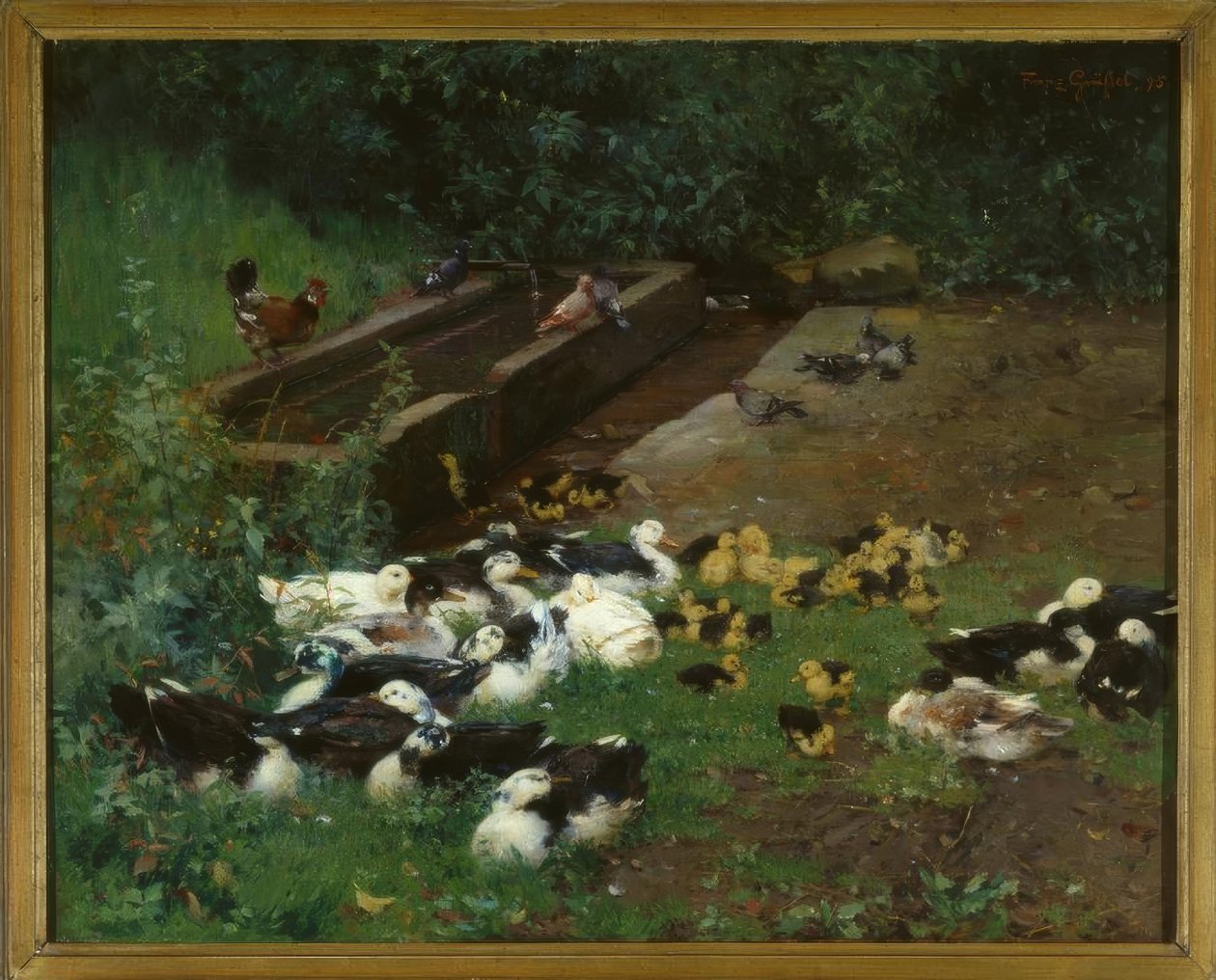 Familia de patos de Franz Grassel