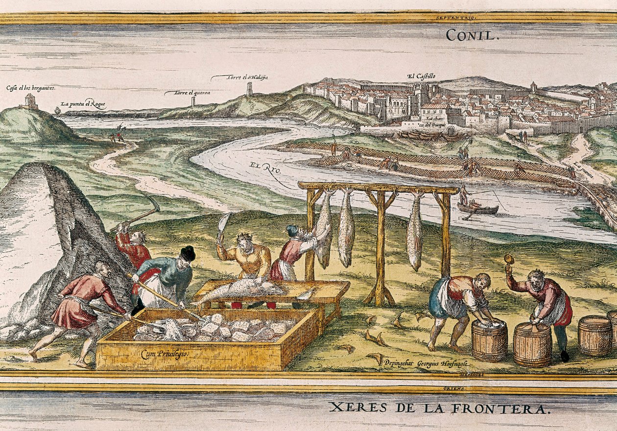 Conil de la Frontera, los pescadores secan el pescado, lo cortan, lo venden y lo empaquetan en barriles para la venta, de "Civitatis Orbis Terrarum" de Franz Hogenberg