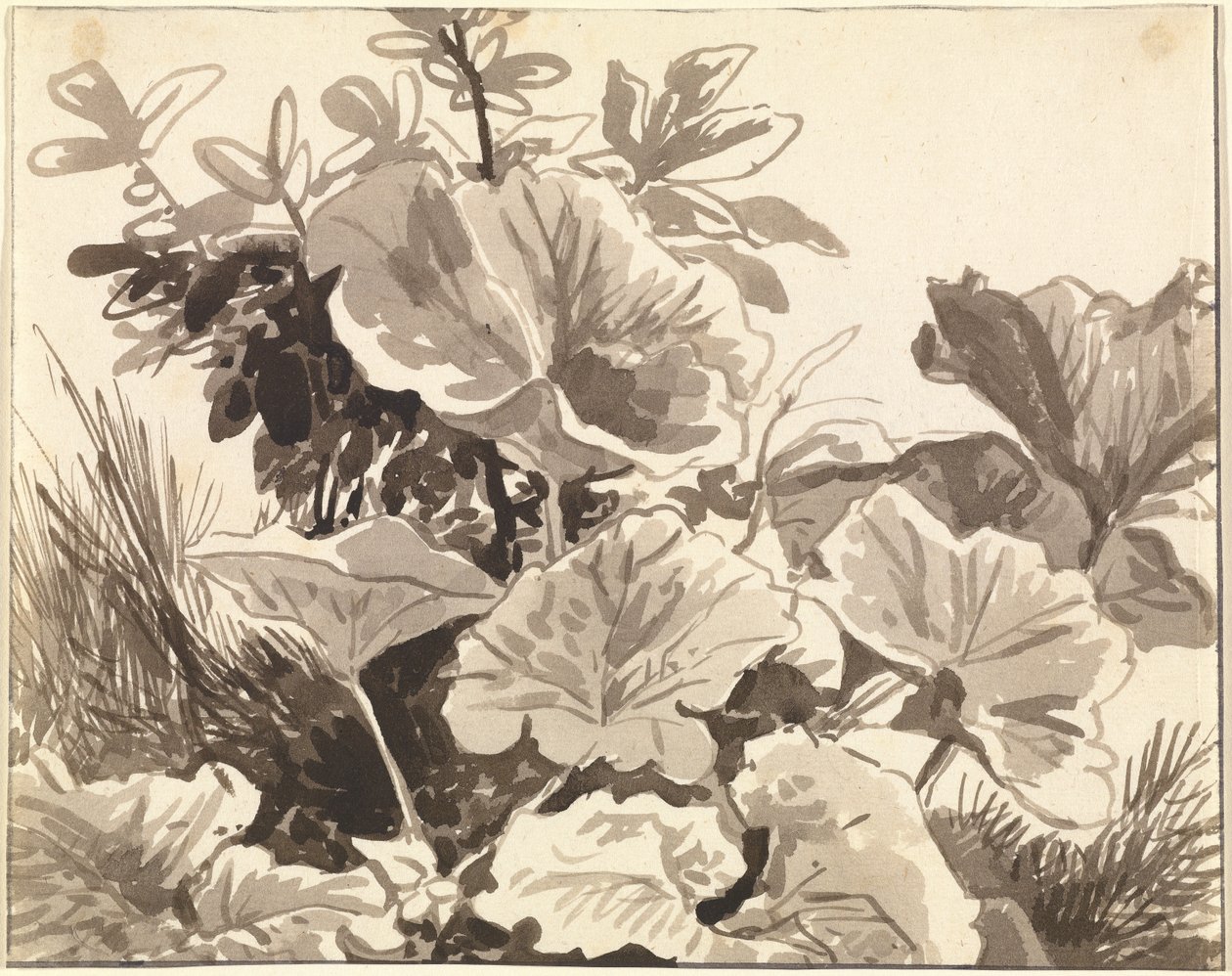 Estudio de las hojas de dactilo de Franz Innocenz Kobell