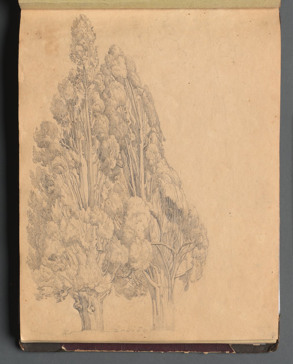 Álbum con vistas de Roma y alrededores, estudios de paisajes, página 13a: Árboles de Franz Johann Heinrich Nadorp