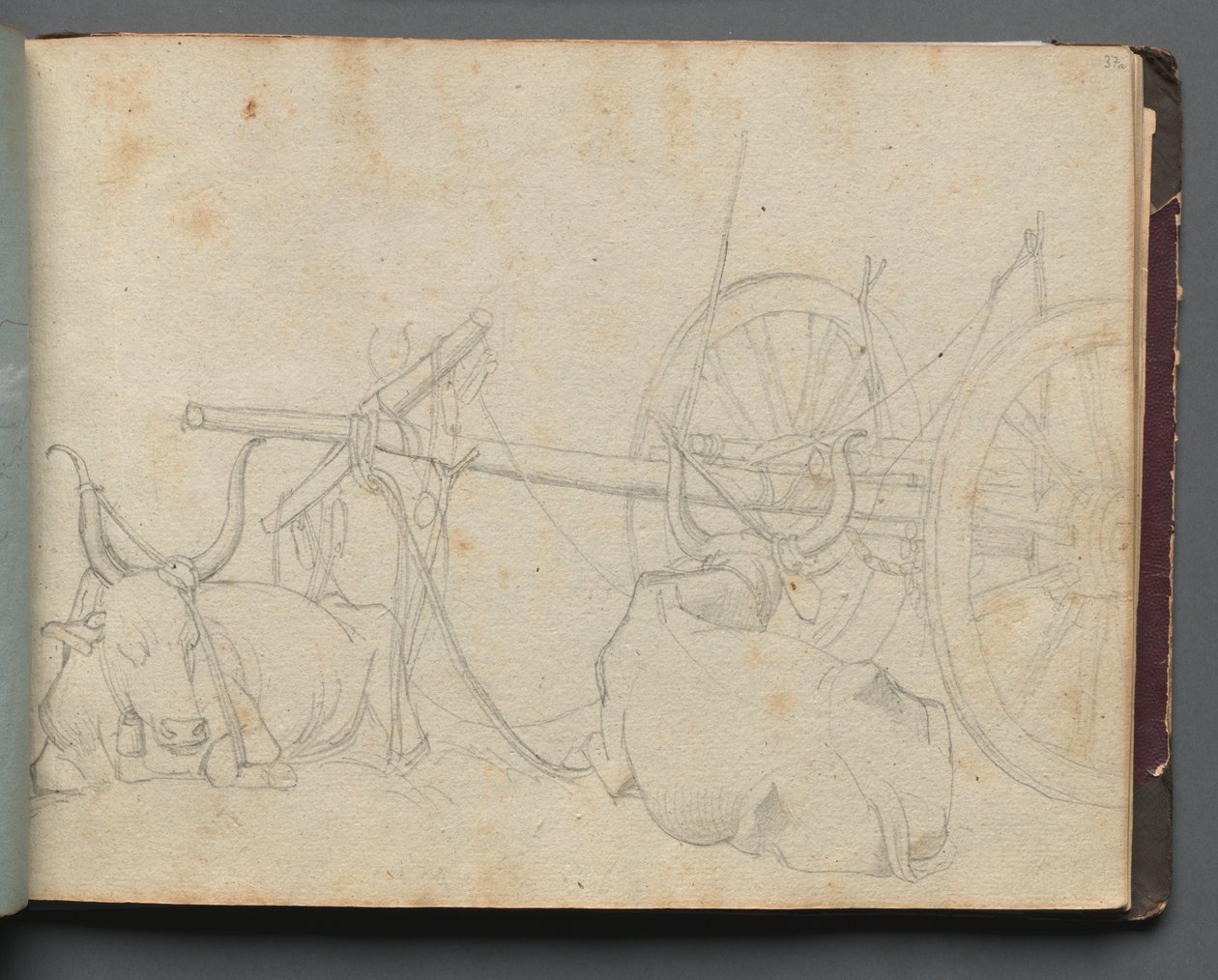 Álbum con vistas de Roma y alrededores, estudios de paisajes, página 37a: Bueyes y carro de Franz Johann Heinrich Nadorp