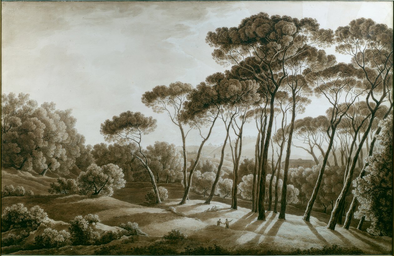 Los pinos de la Villa Doria Pamphili de Franz Kaisermann