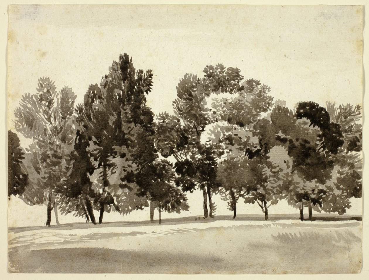Arboleda de árboles frondosos de Franz Kobell