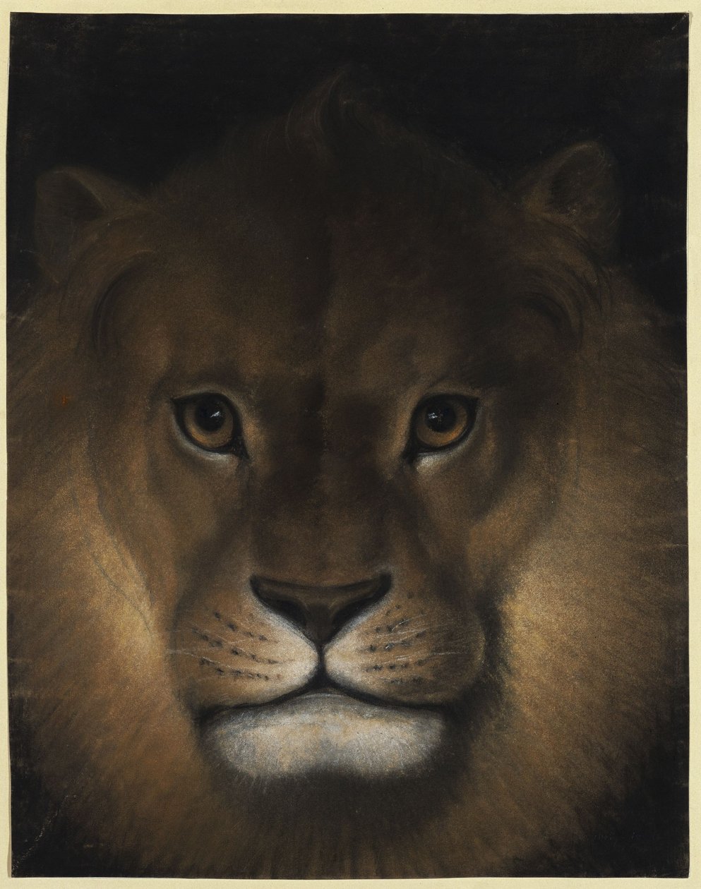 Cabeza de león de Franz Krüger