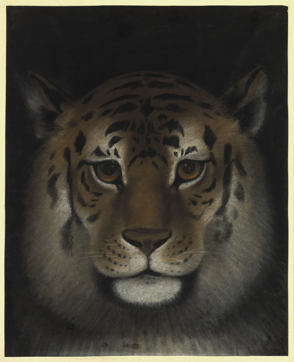 Cabeza de tigre de Franz Krüger