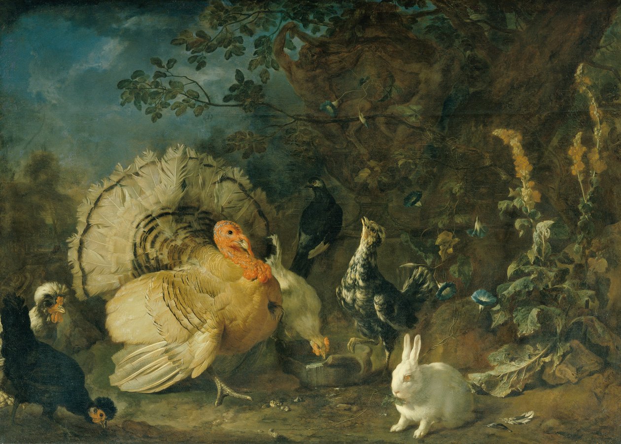 aves domesticas y conejos de Franz Werner Tamm