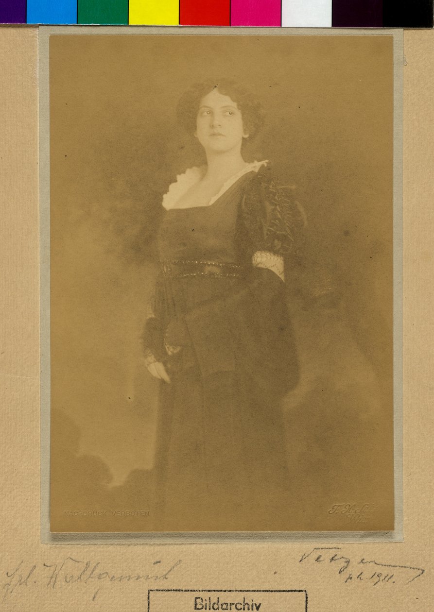 Wohlgemuth de Franz Xaver Setzer