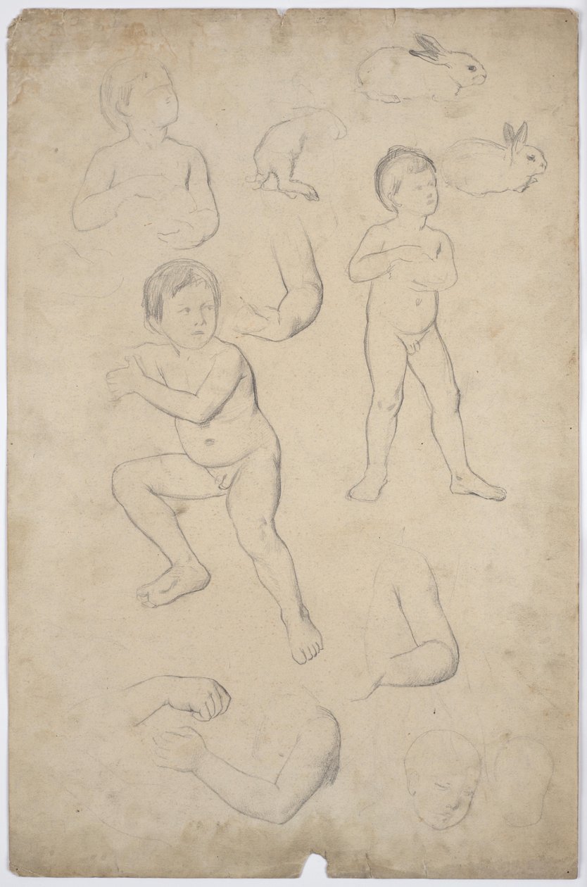 Desnudos infantiles y estudios de cabezas, 2 conejos de Franz von Matsch