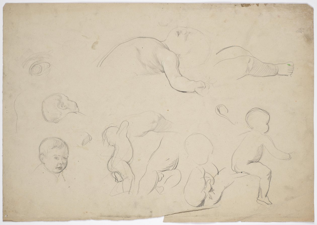 Estudios sobre los nietos de Franz von Matsch