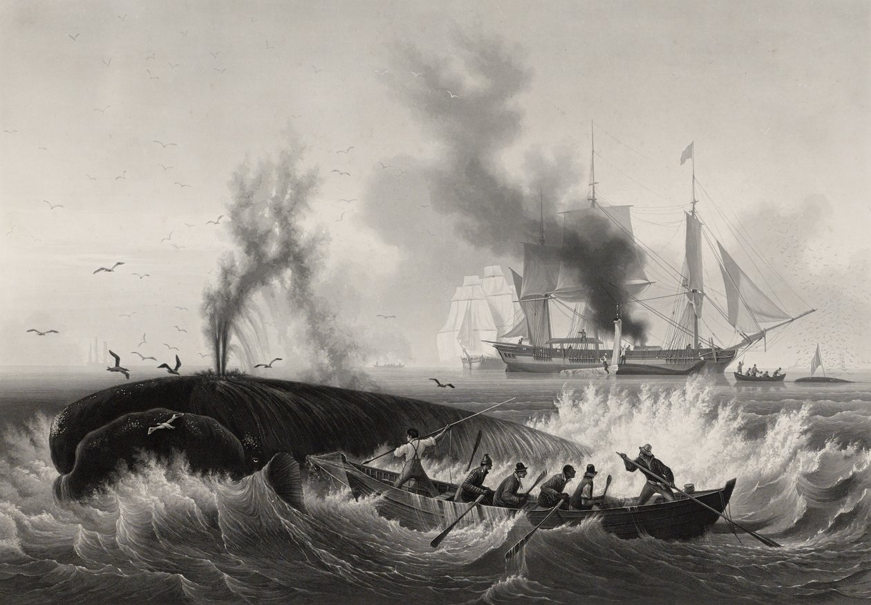 Pêche de la Baleine, 1834-35 de Frederic Martens
