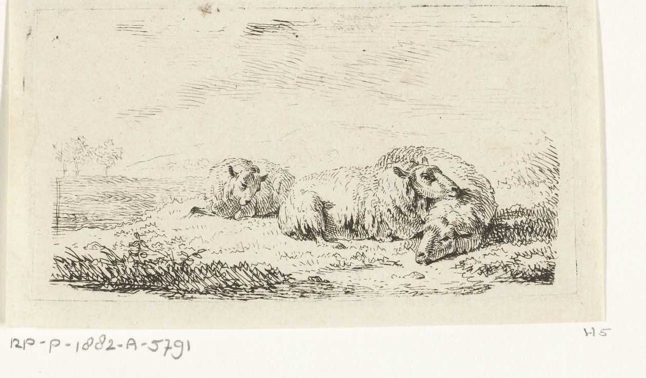 Tres ovejas tiradas en la hierba de Frédéric Théodore Faber