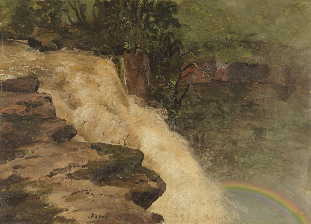 Una cascada en Colombia de Frederic Edwin Church