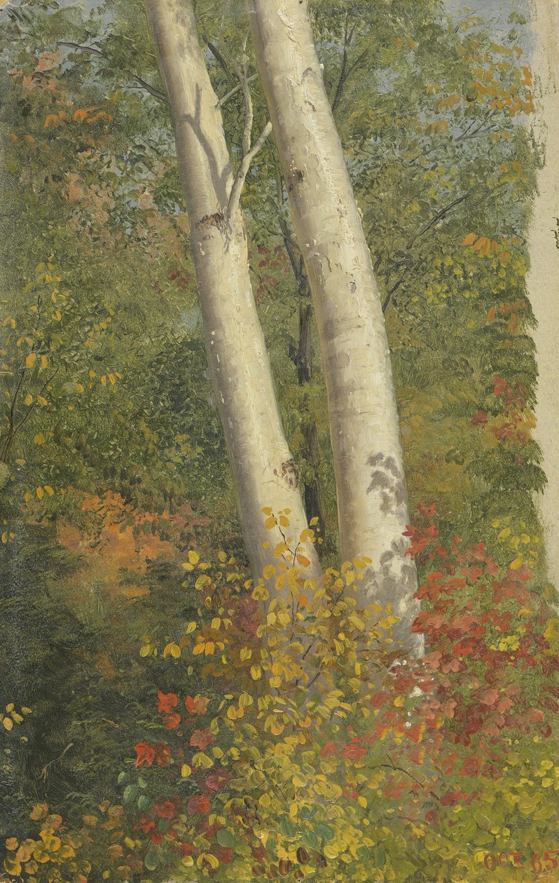 Árboles de Abedul en Otoño de Frederic Edwin Church