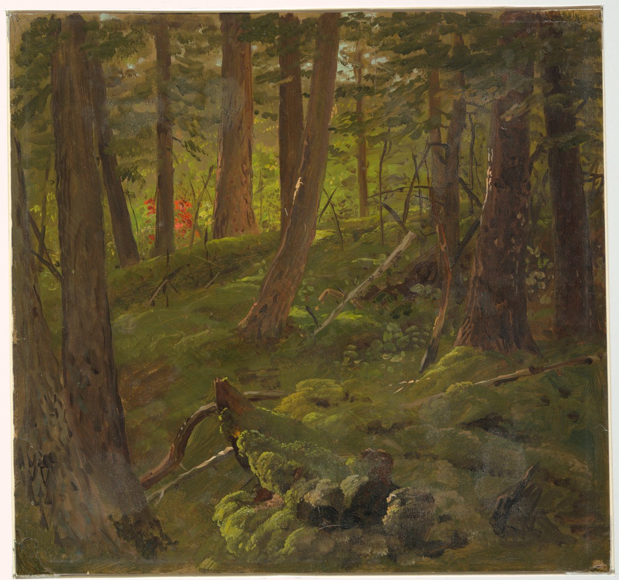Dibujo, vegetación de la selva, 1865 de Frederic Edwin Church