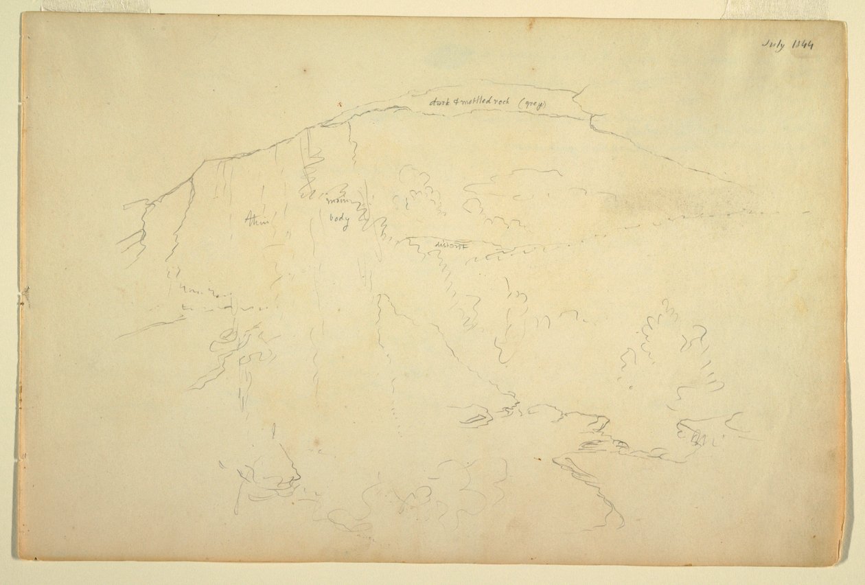 Ladera boscosa, montañas Catskill, julio 1844 de Frederic Edwin Church