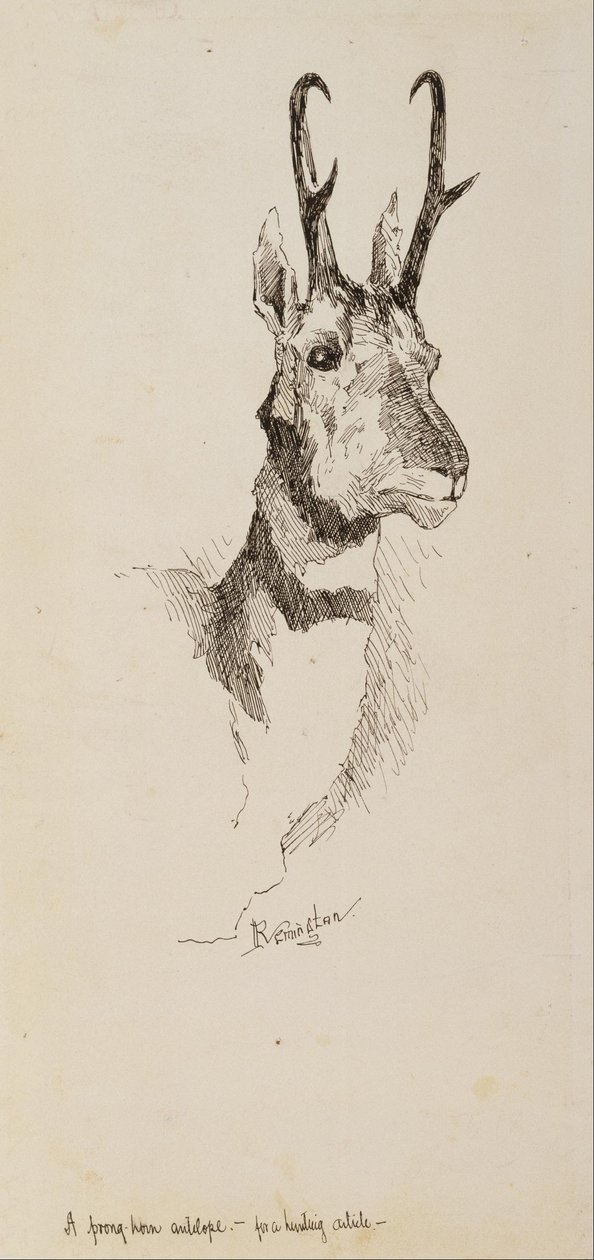 Un Antílope Pronghorn de Frederic Remington