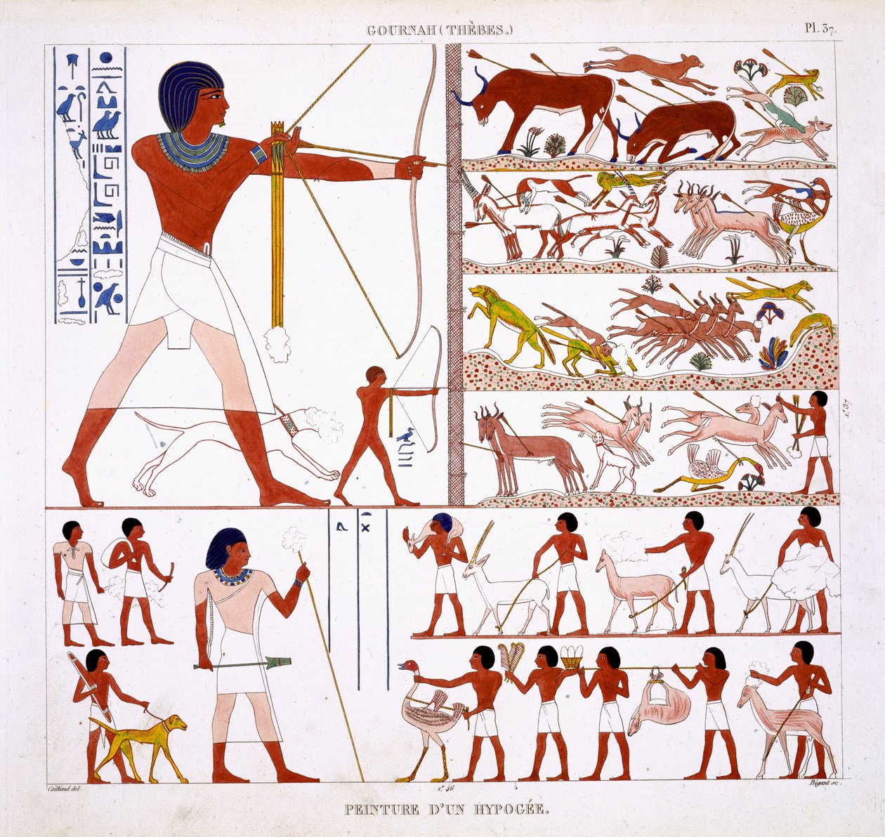 Escenas de caza, de un raro registro de frescos de Tebas, registrado 1819-1822 en su segunda visita a Egipto por Frederic Cailliaud (1787-1869) de Frederic Cailliaud