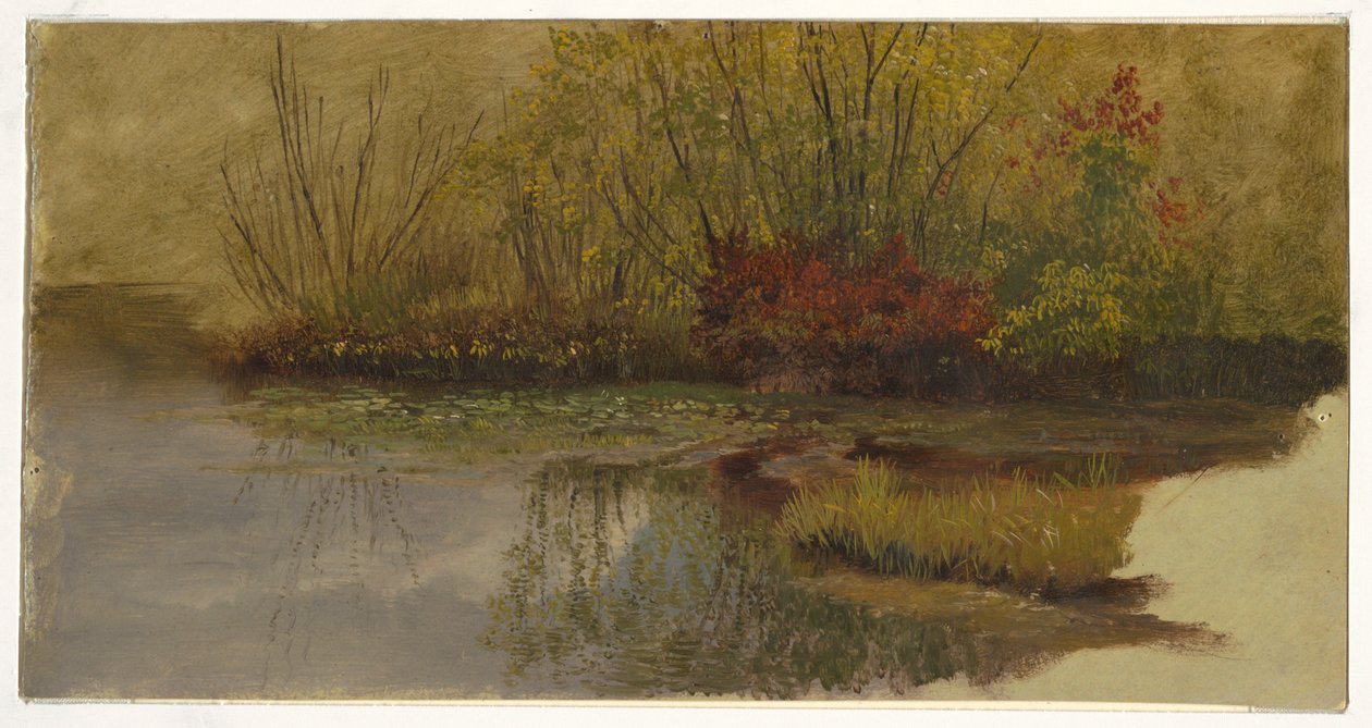 Un rincón de un estanque de Frederic Edwin Church