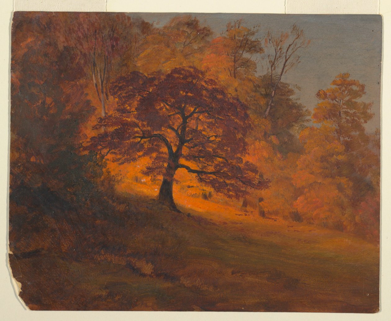 Follaje de otoño de Frederic Edwin Church