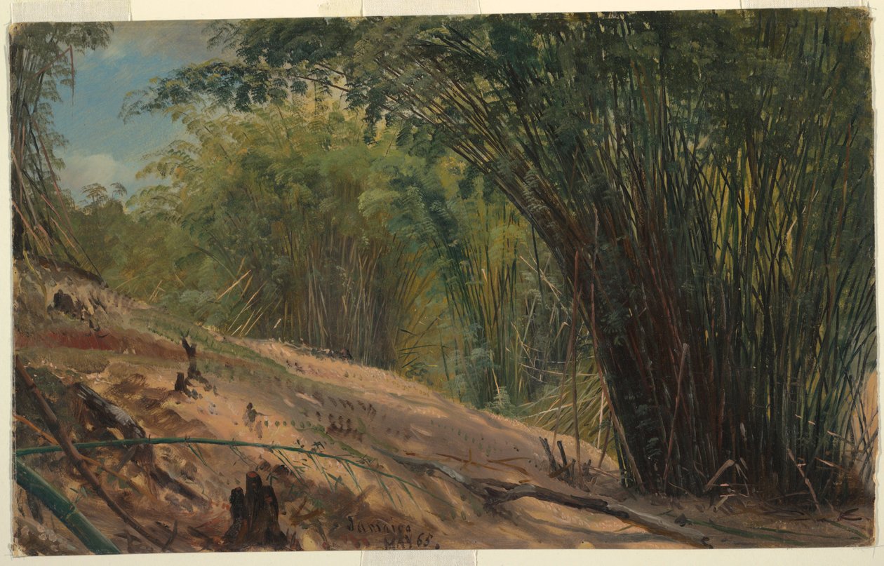 Bosque de bambú, Jamaica de Frederic Edwin Church