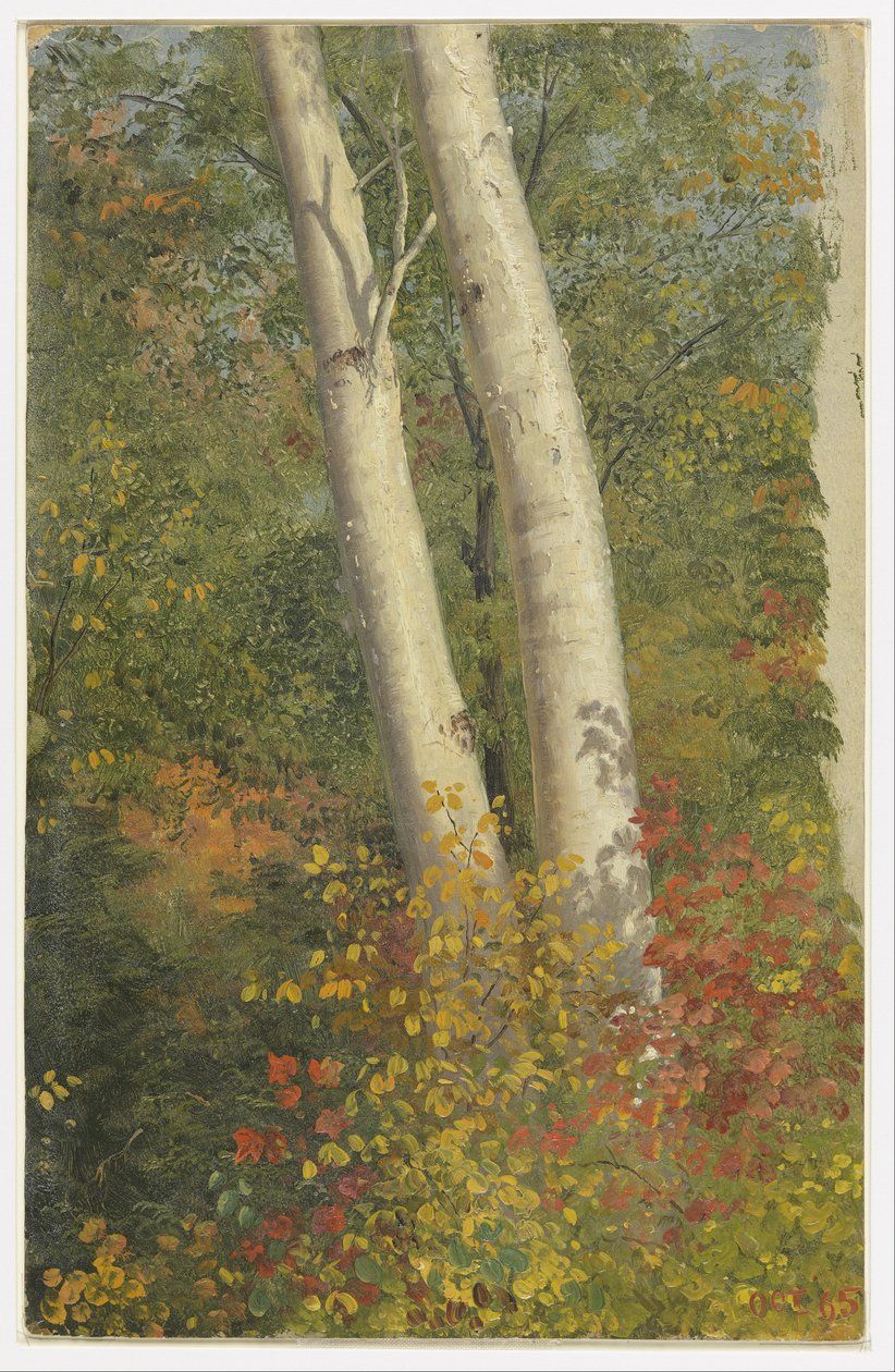 Abedules en otoño de Frederic Edwin Church