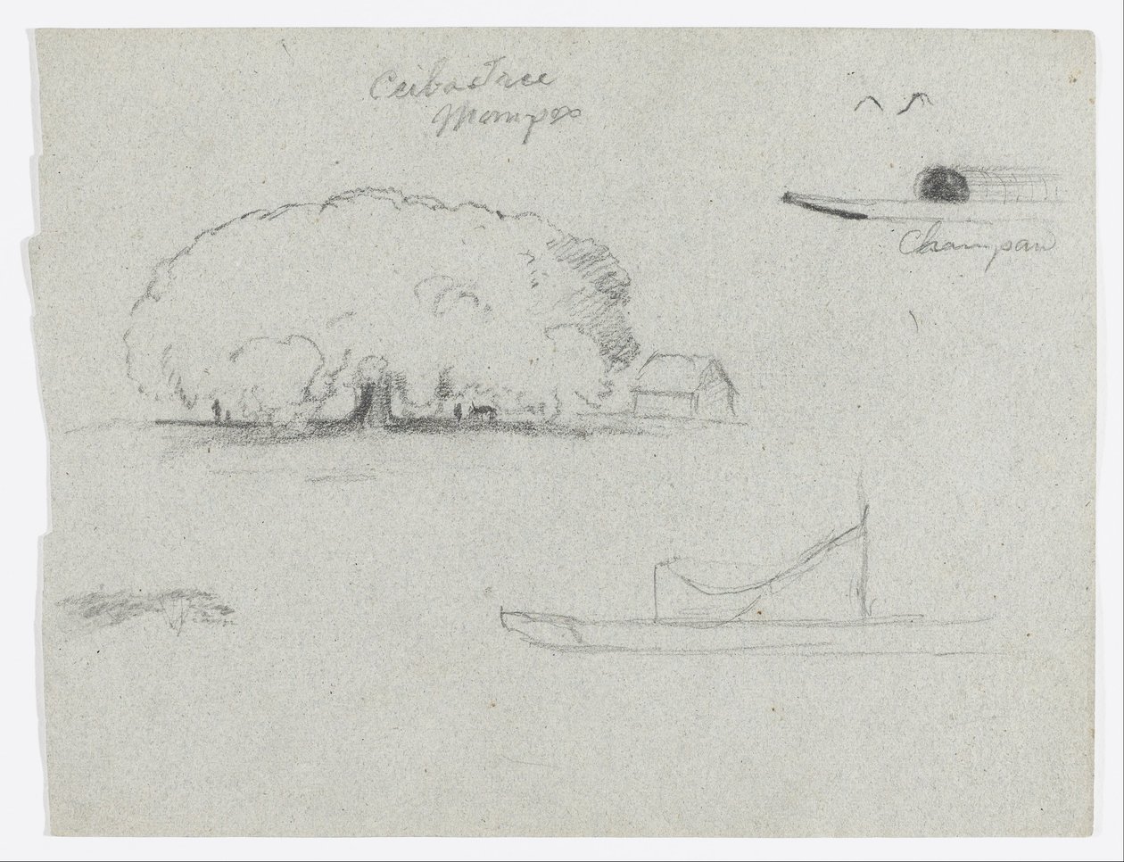 Árbol de Ceiba en Mompos, Canoa Champan, Árboles, y un Barco Parcial, Río Magdelena, Colombia de Frederic Edwin Church