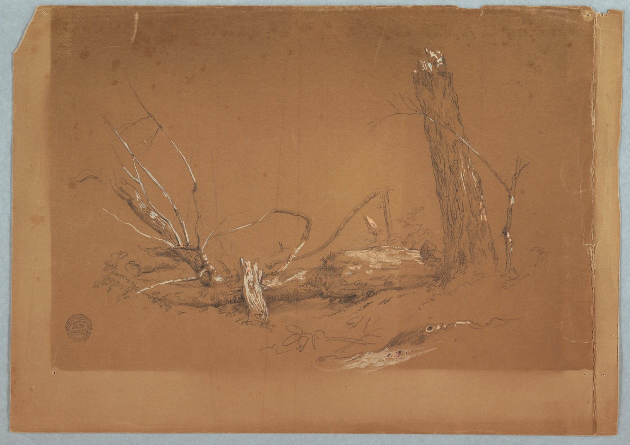 Dibujo, Un árbol muerto roto, 1855-65 de Frederic Edwin Church