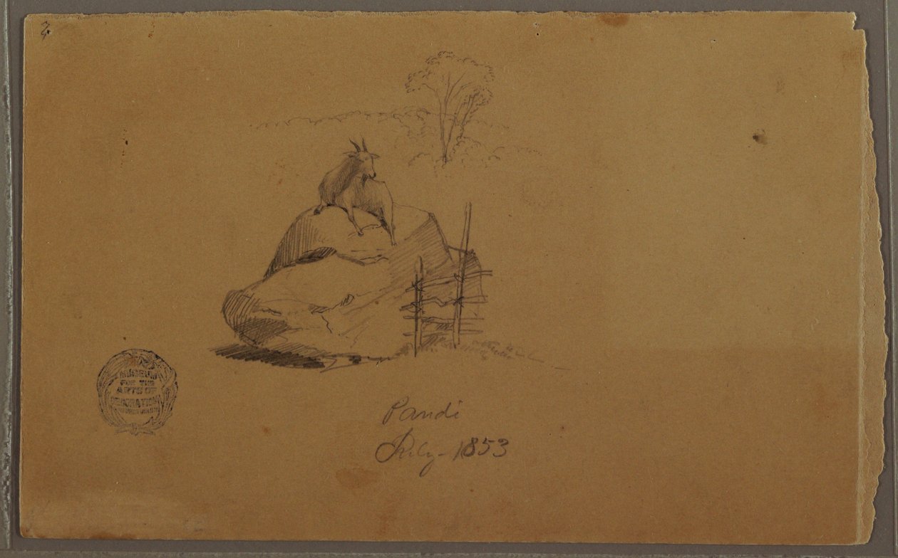 Dibujo, Una cabra en Pandi, Colombia, julio de 1853 de Frederic Edwin Church