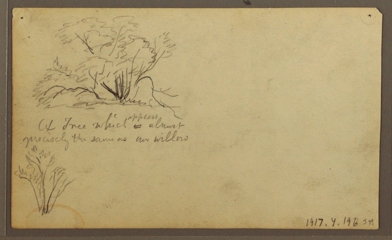 Dibujo, Una cabaña sobre postes, Guayaquil, Ecuador, mayo de 1857 de Frederic Edwin Church